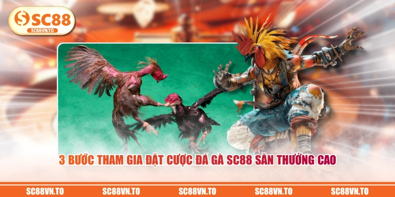 3 bước tham gia đặt cược Đá Gà SC88 săn thưởng cao