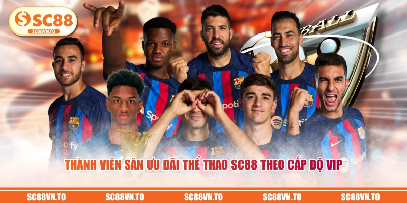 Thành viên săn ưu đãi Thể Thao SC88 theo cấp độ VIP
